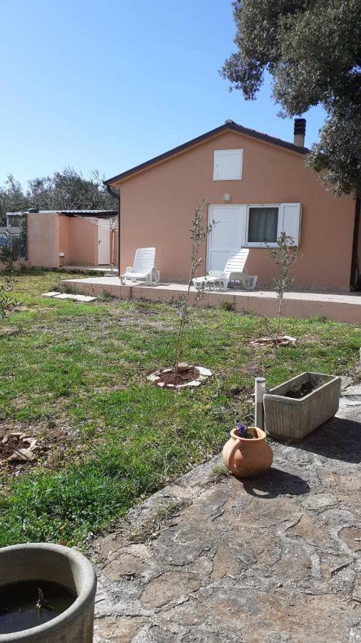 Lave II Cozy House Villa Ližnjan Buitenkant foto
